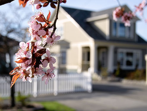 Residential Services