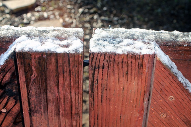Fence for the winter